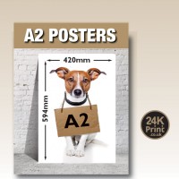 Large Format Posters - A2, A1 & A0