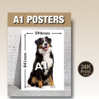 Large Format Posters - A2, A1 & A0