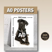 Large Format Posters - A2, A1 & A0